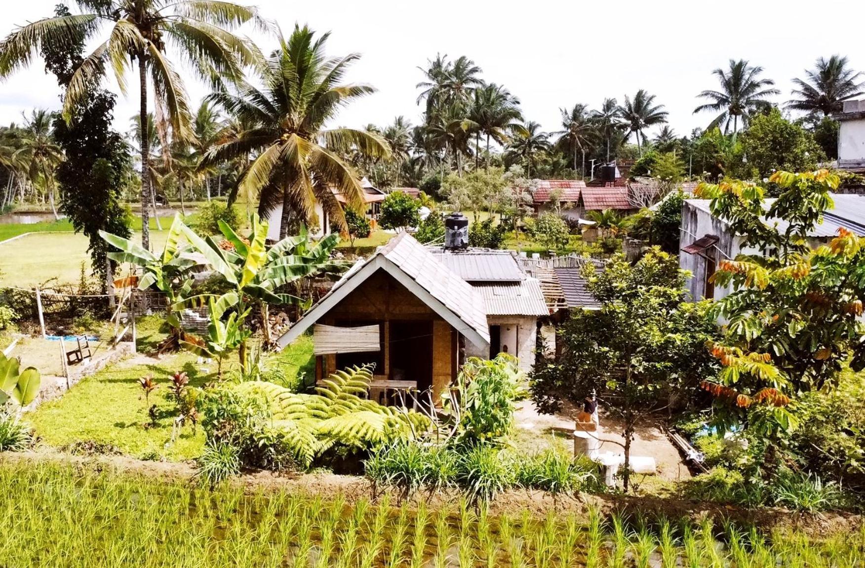Citra Homestay Tetebatu Exterior foto