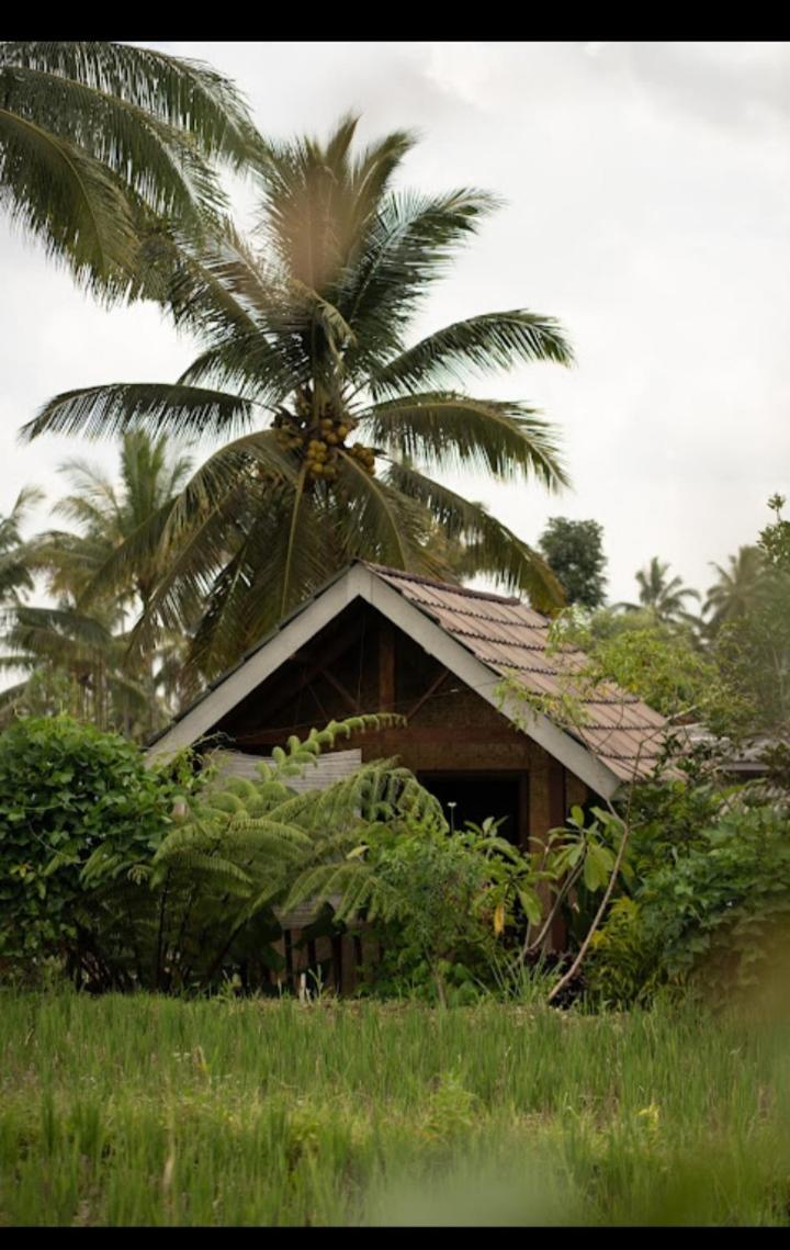 Citra Homestay Tetebatu Exterior foto